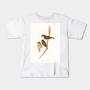 Dusky Robin (Petroica fusca) Kids T-Shirt